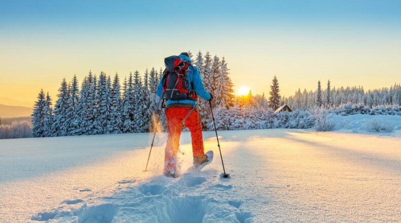 Mastering Winter Sports