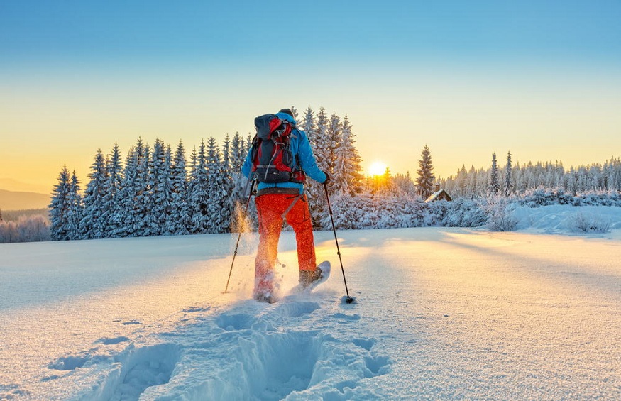 Mastering Winter Sports